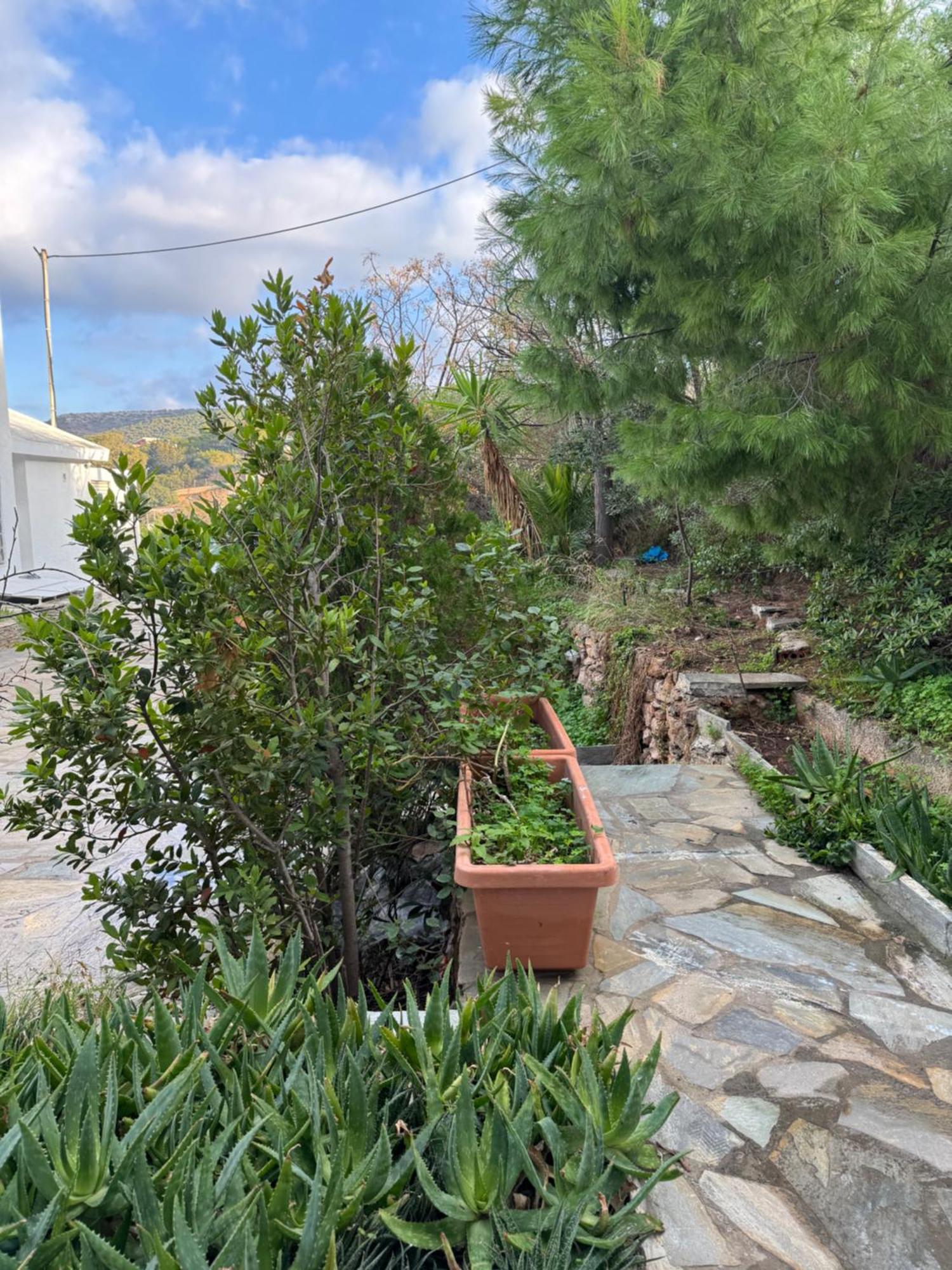 Sounio Studio Sounion Exterior foto